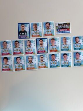 ARGENTINA World Cup Panini Team Stickers (only #1 & N. Gonzalez missing)